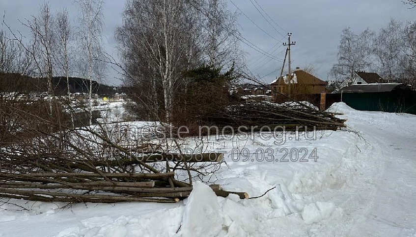 На улице Дзержинского в Павловской Слободе незаконно вырубили деревья
